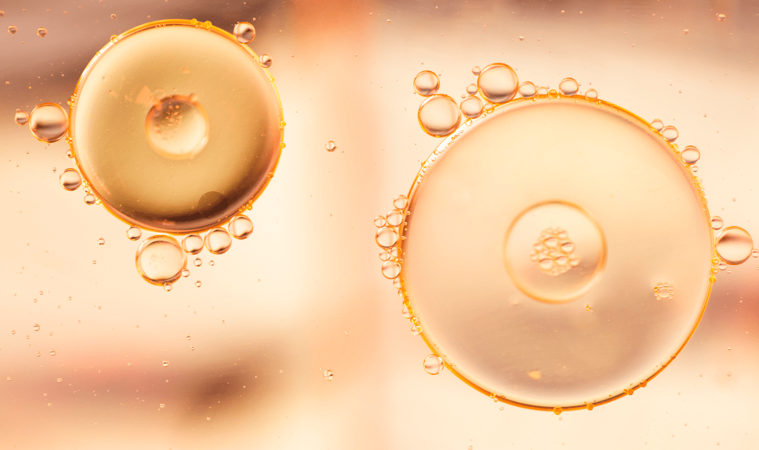 12家权威媒体报道：干细胞治疗专家共识