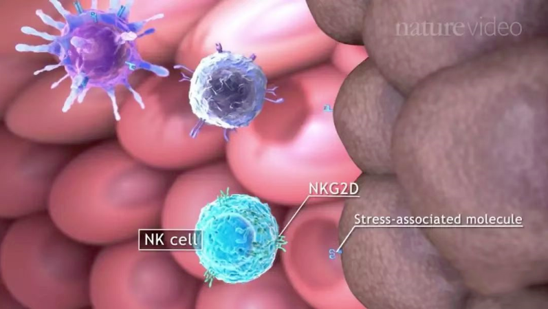 微信图片_20250716105421