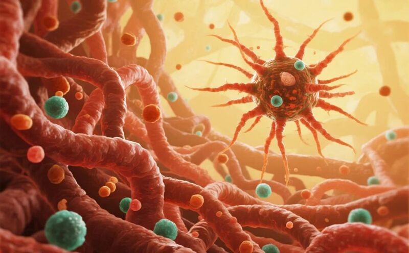 诺奖得主用生命验证！DC肿瘤疫苗让癌细胞 “无所遁形”