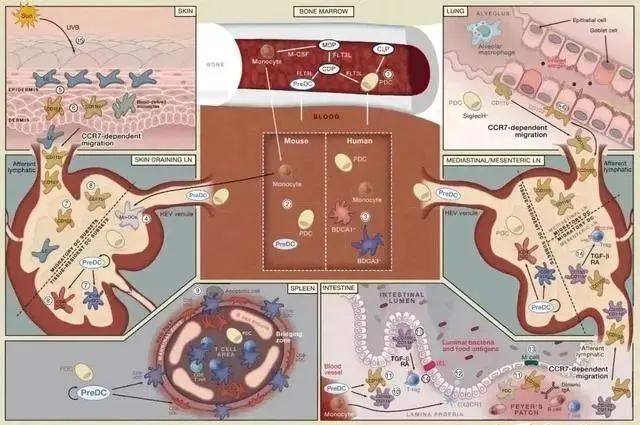 微信图片_20250716111648