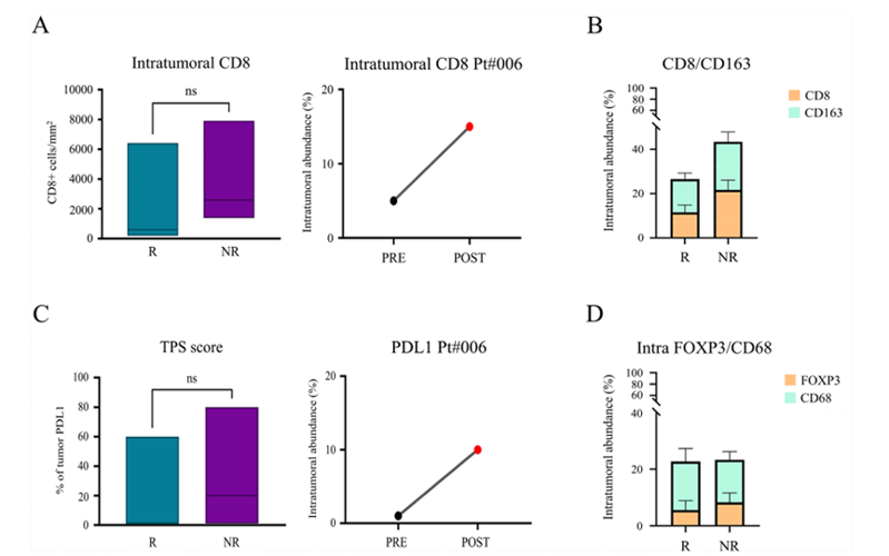 微信图片_2025-08-04_152442_815