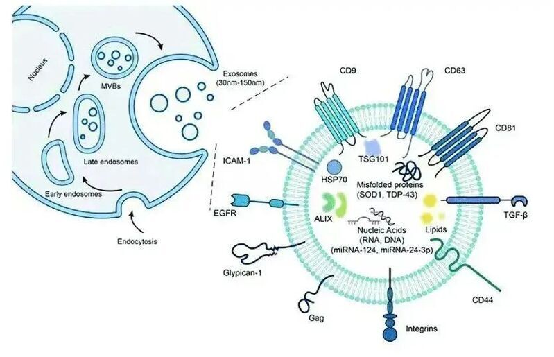 微信图片_2025-08-04_152950_736