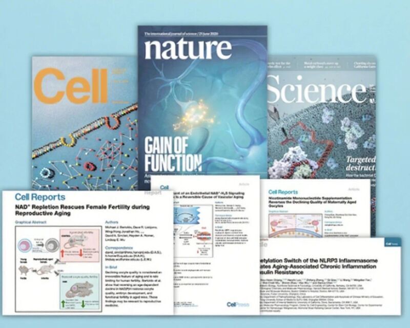 微信图片_2025-08-04_153706_340