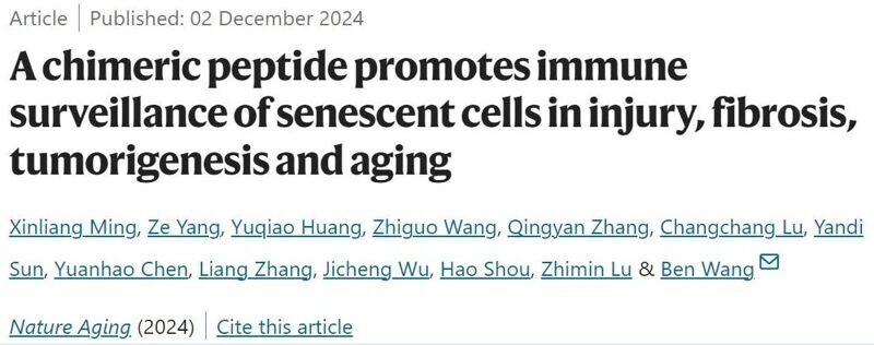 微信图片_2025-08-04_155046_104