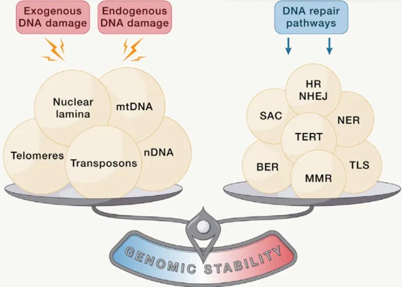 wechat_2025-08-13_161119_665