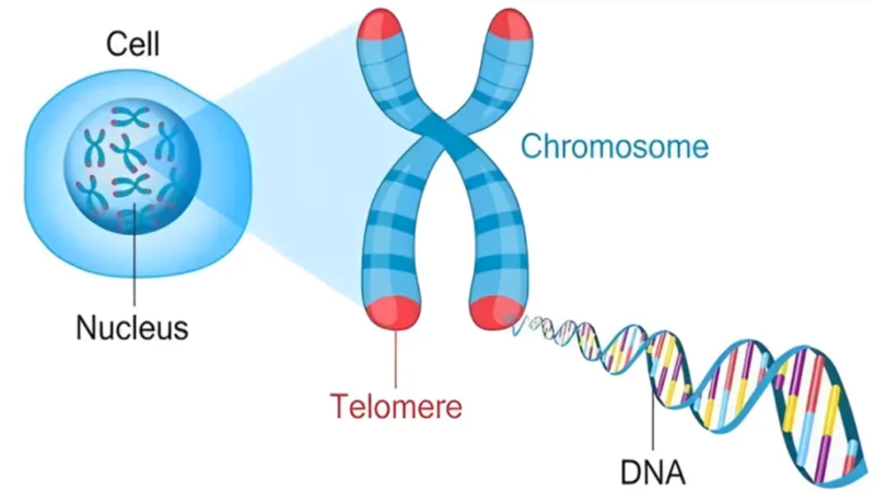 wechat_2025-08-13_162815_457