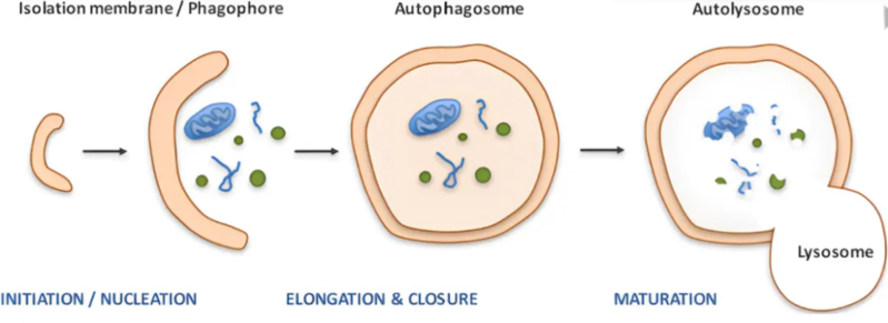 wechat_2025-08-13_163401_658