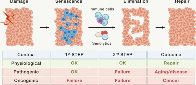 wechat_2025-08-13_163613_792