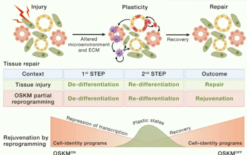 wechat_2025-08-13_163719_586