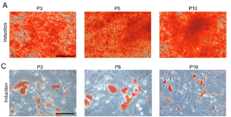 wechat_2025-09-12_151052_620